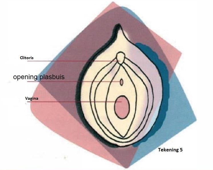 Opening plasbuis