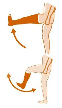 exercise2