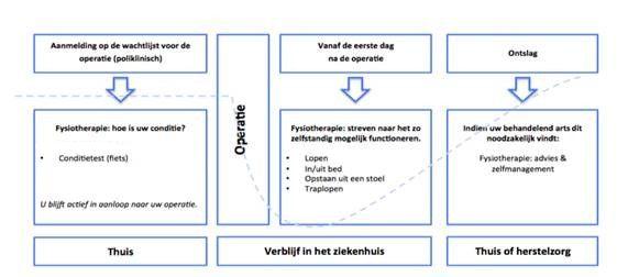 Rug revalidatie