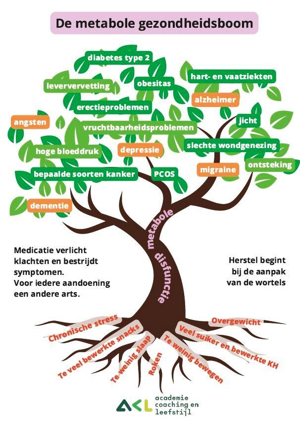 De Metabole Gezondheidsboom