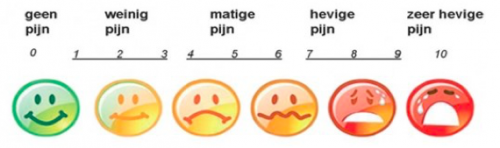 Pijnmeter