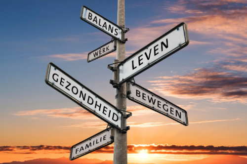 Overzicht hartrevalidatie onderdelen