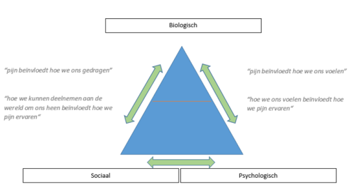 bio psycho sociaal model