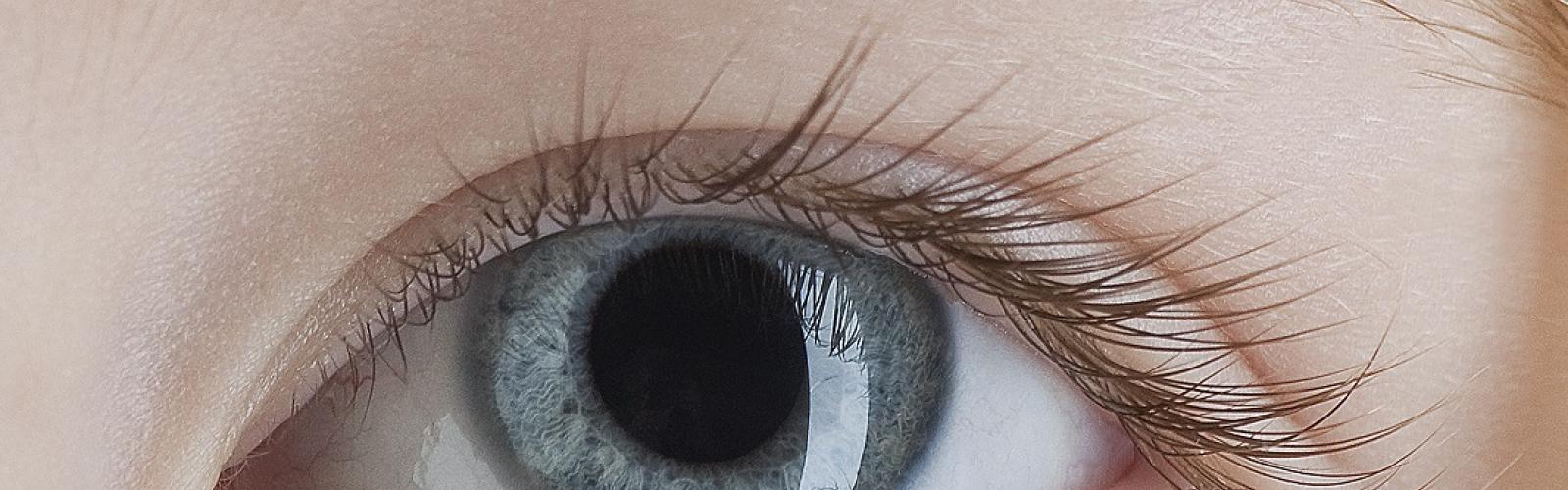 Oog